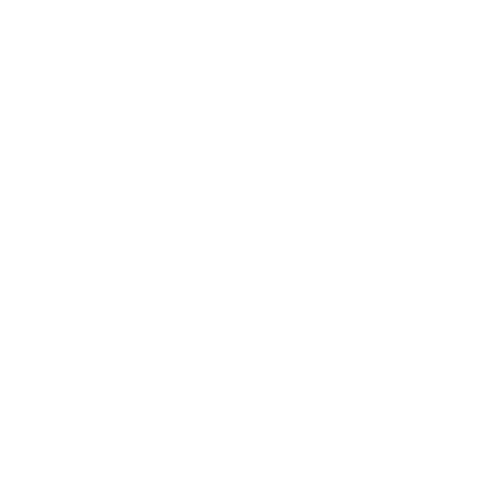 www.thelightphone.com